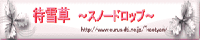 �Ґᑐ�`�X�m�[�h���b�v�`